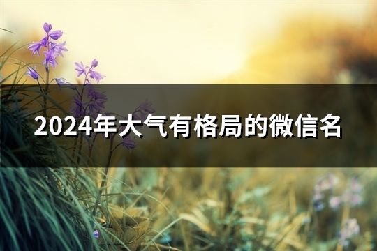 2024年大气有格局的微信名(共112个)