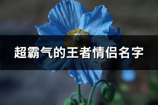 超霸气的王者情侣名字(206个)