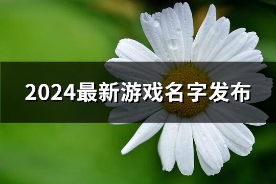 2024最新游戏名字发布(2560个)