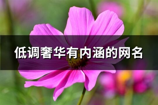 低调奢华有内涵的网名(共430个)