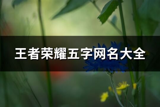 王者荣耀五字网名大全(共230个)