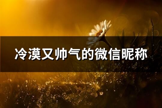 冷漠又帅气的微信昵称(共105个)