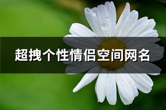 超拽个性情侣空间网名(162个)