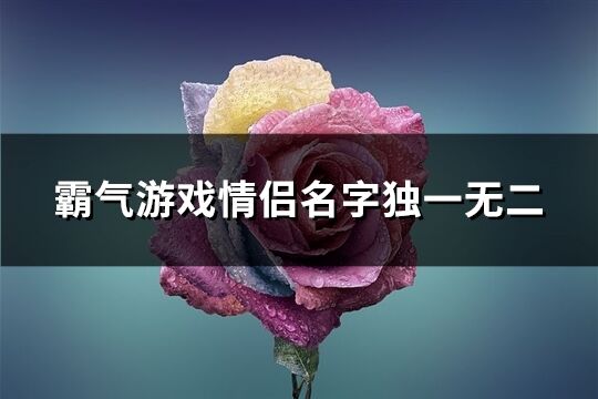 霸气游戏情侣名字独一无二(共141个)