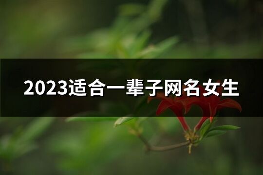 2023适合一辈子网名女生(共585个)