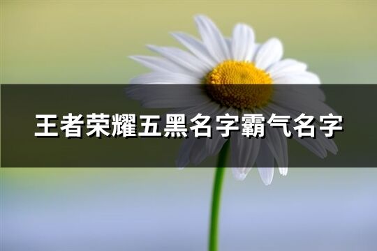 王者荣耀五黑名字霸气名字(共67个)