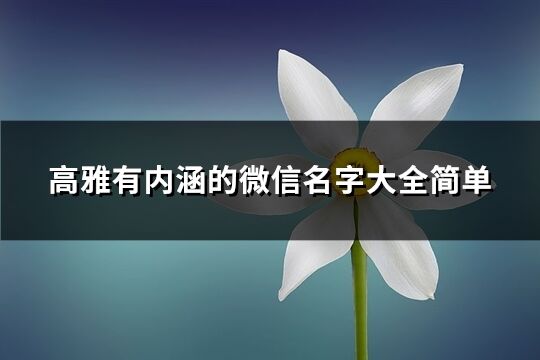 高雅有内涵的微信名字大全简单(共857个)