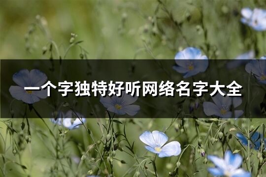 一个字独特好听网络名字大全(精选547个)