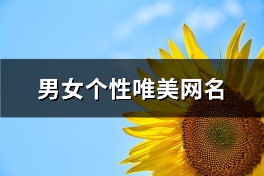 男女个性唯美网名(共342个)