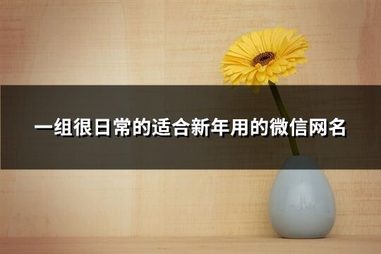 一组很日常的适合新年用的微信网名(共147个)