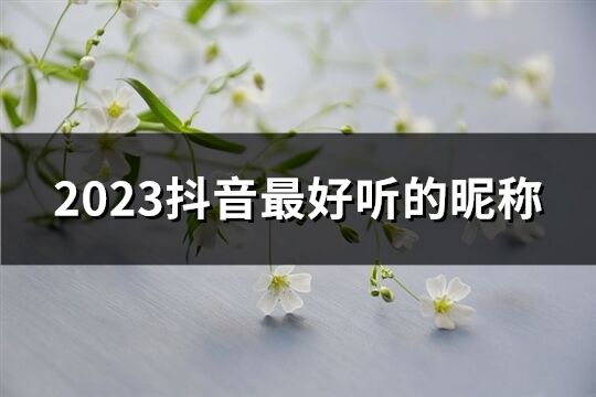 2023抖音最好听的昵称(586个)