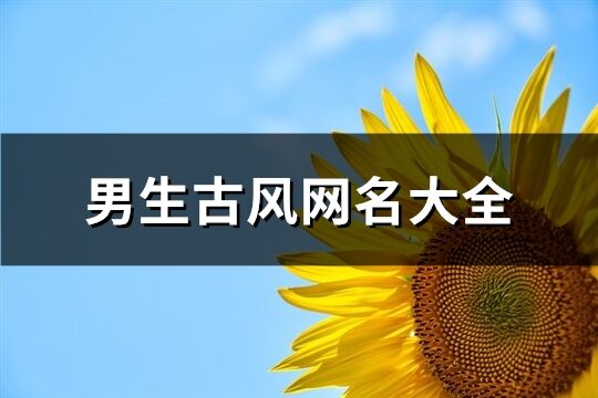 男生古风网名大全(共613个)