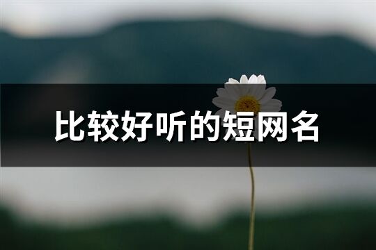 比较好听的短网名(共176个)