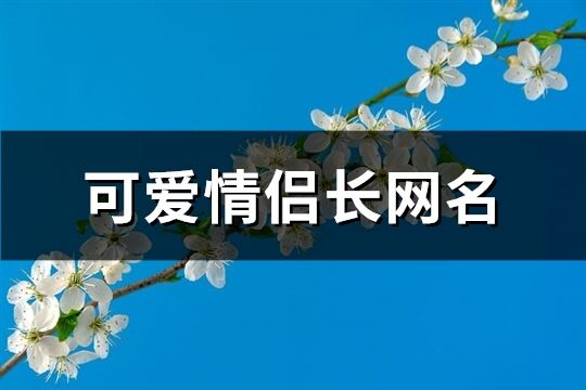 可爱情侣长网名(共831个)