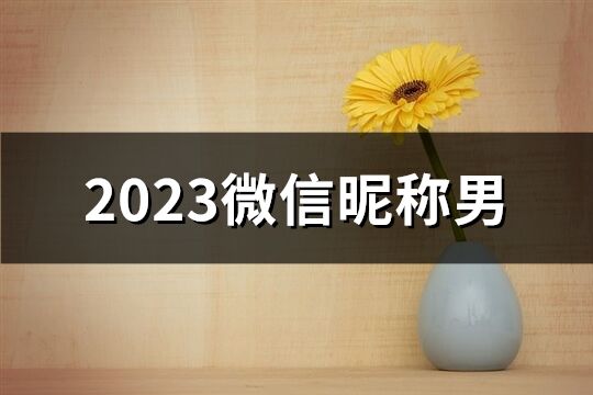 2023微信昵称男(共1244个)