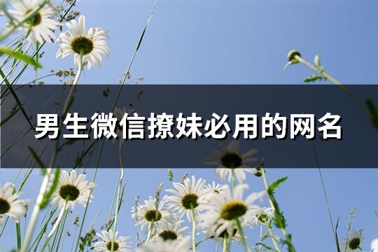 男生微信撩妹必用的网名(精选269个)