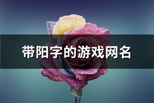 带阳字的游戏网名(精选101个)