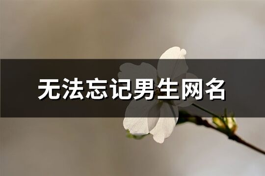 无法忘记男生网名(精选180个)