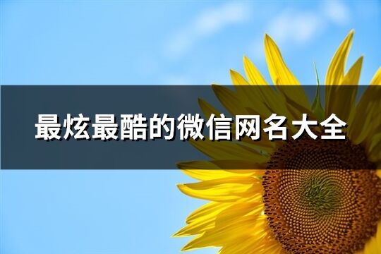 最炫最酷的微信网名大全(187个)