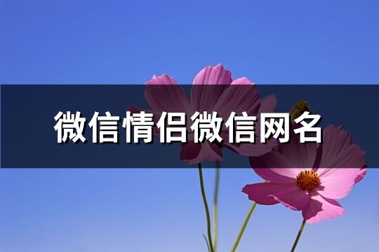 微信情侣微信网名(共691个)