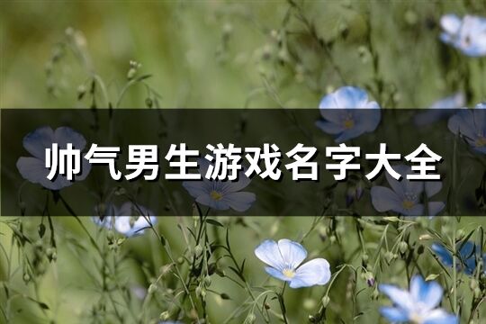 帅气男生游戏名字大全(386个)