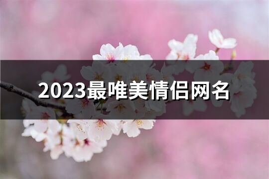 2023最唯美情侣网名(共319个)