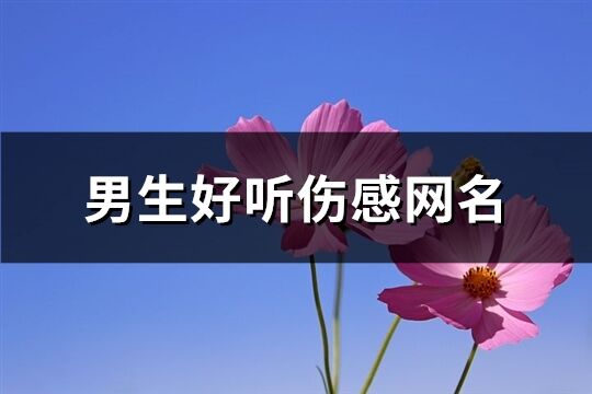 男生好听伤感网名(精选611个)