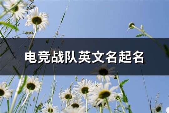 电竞战队英文名起名(100个)