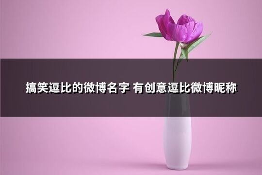 搞笑逗比的微博名字