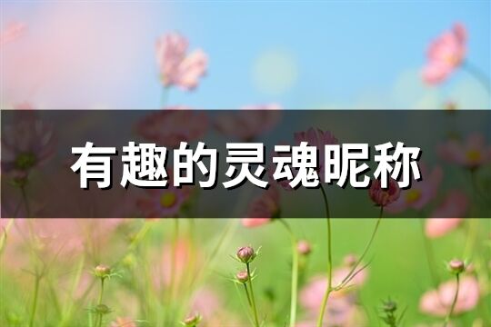 有趣的灵魂昵称(共71个)