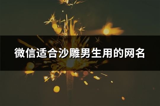 微信适合沙雕男生用的网名(精选60个)