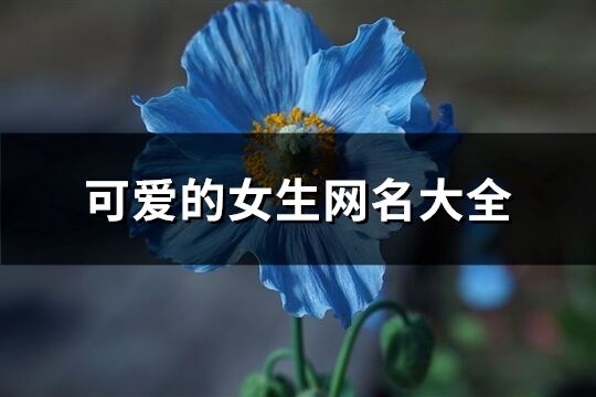 可爱的女生网名大全(共614个)