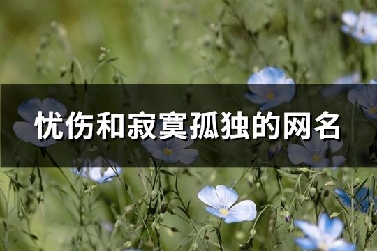 忧伤和寂寞孤独的网名(精选463个)