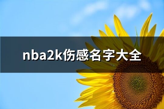 nba2k伤感名字大全(103个)