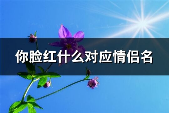 你脸红什么对应情侣名(108个)