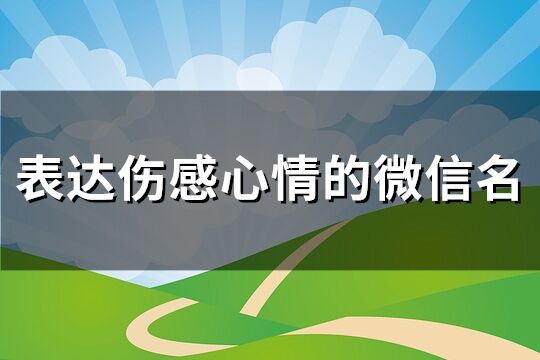 表达伤感心情的微信名(共644个)