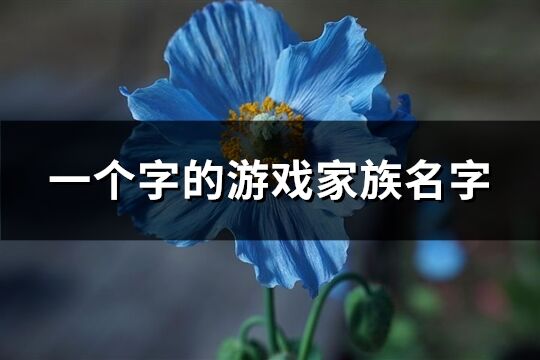 一个字的游戏家族名字(共169个)