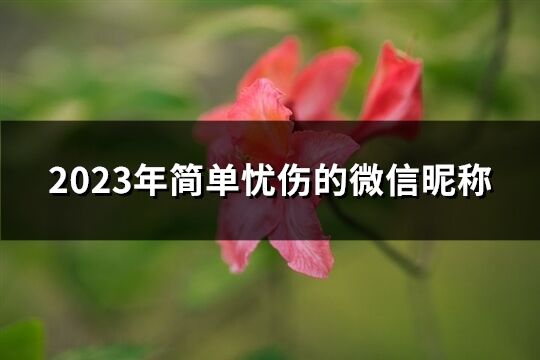 2023年简单忧伤的微信昵称(共1645个)