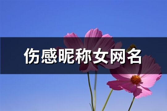 伤感昵称女网名(75个)