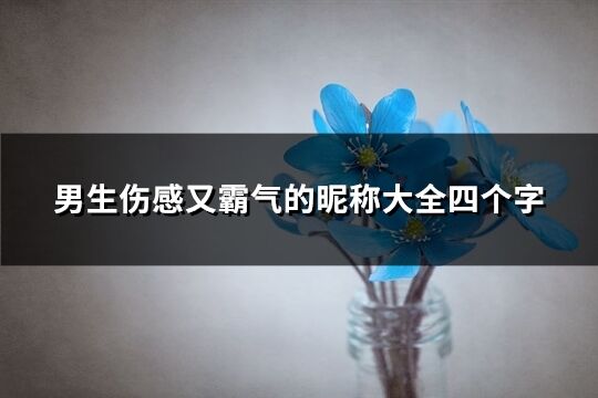 男生伤感又霸气的昵称大全四个字(精选1278个)