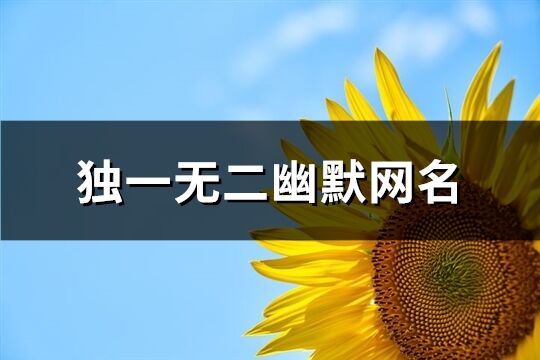 独一无二幽默网名(共178个)