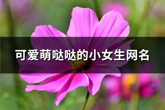 可爱萌哒哒的小女生网名(486个)