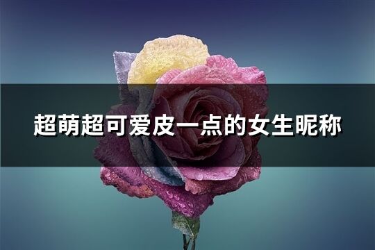 超萌超可爱皮一点的女生昵称(共73个)