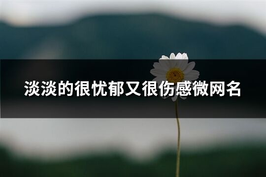 淡淡的很忧郁又很伤感微网名(共473个)