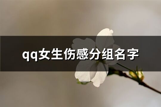 qq女生伤感分组名字(71个)