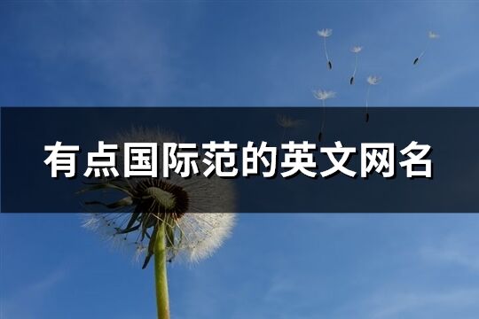 有点国际范的英文网名(103个)