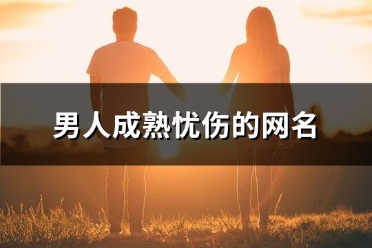 男人成熟忧伤的网名(共672个)