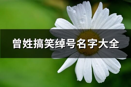 曾姓搞笑绰号名字大全(精选852个)