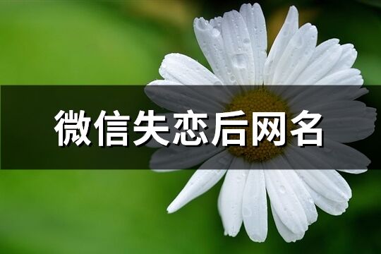 微信失恋后网名(共121个)