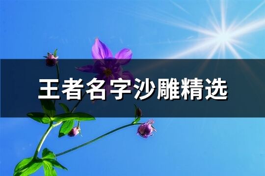 王者名字沙雕精选(共339个)